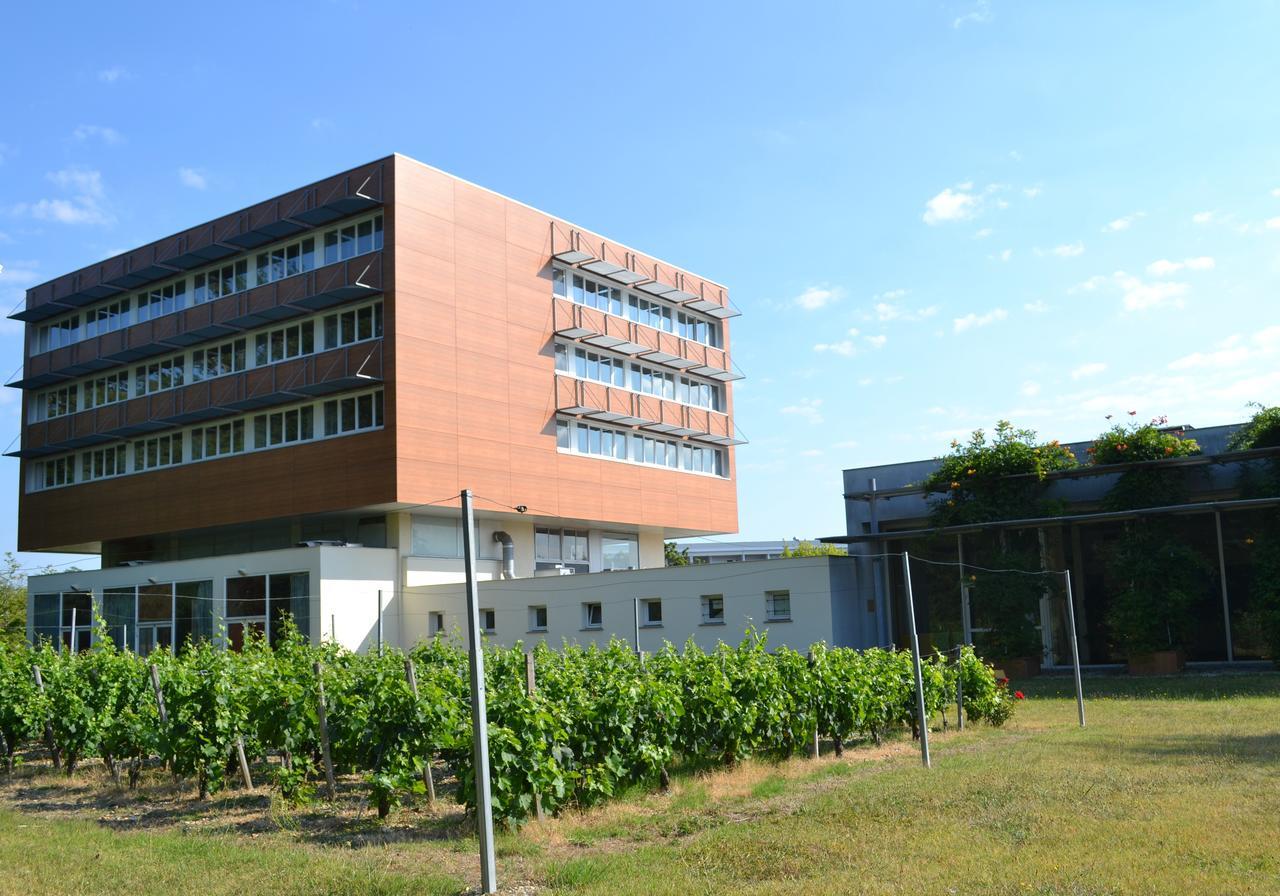 Hotel De Guyenne Talence Luaran gambar